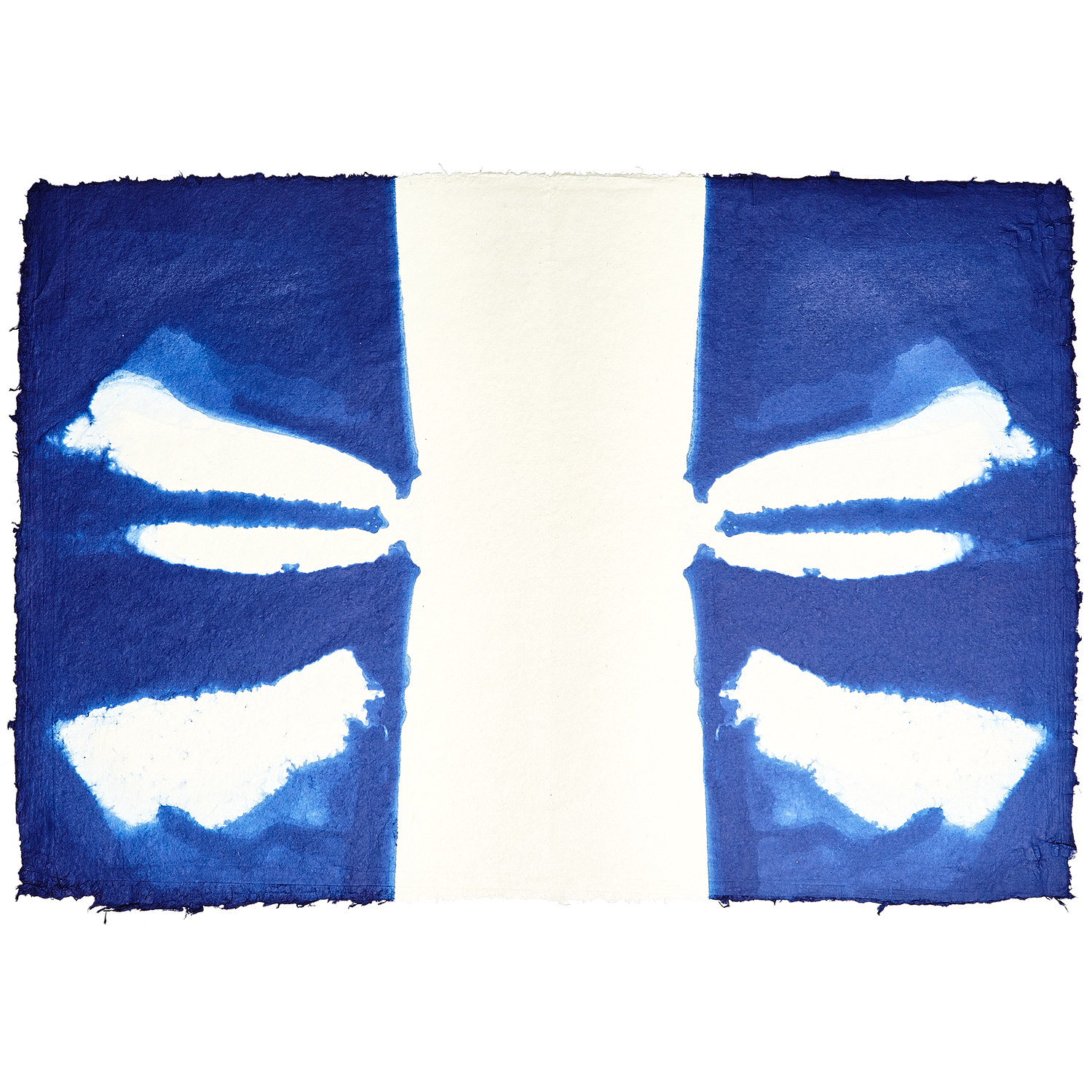 Indigo Dips