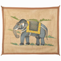 Paused Elephant - High Quality Image of 