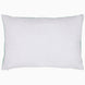 Neil Kidney Pillow
