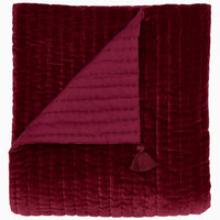 Velvet Berry Throw - High Quality Image of 