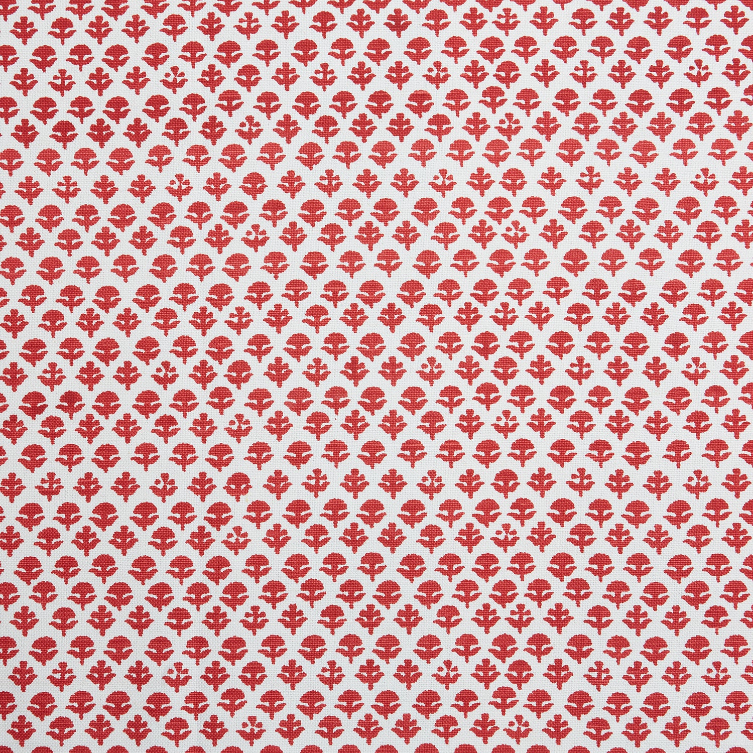 Bindi Coral Fabric Main