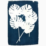 Split Leaf Philodendron Cyanotypes of monstera leaves on recycled cotton paper by John Robshaw. - 28913072570414
