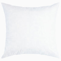 Insert for 22 x 22 Pillow - High Quality Image of 